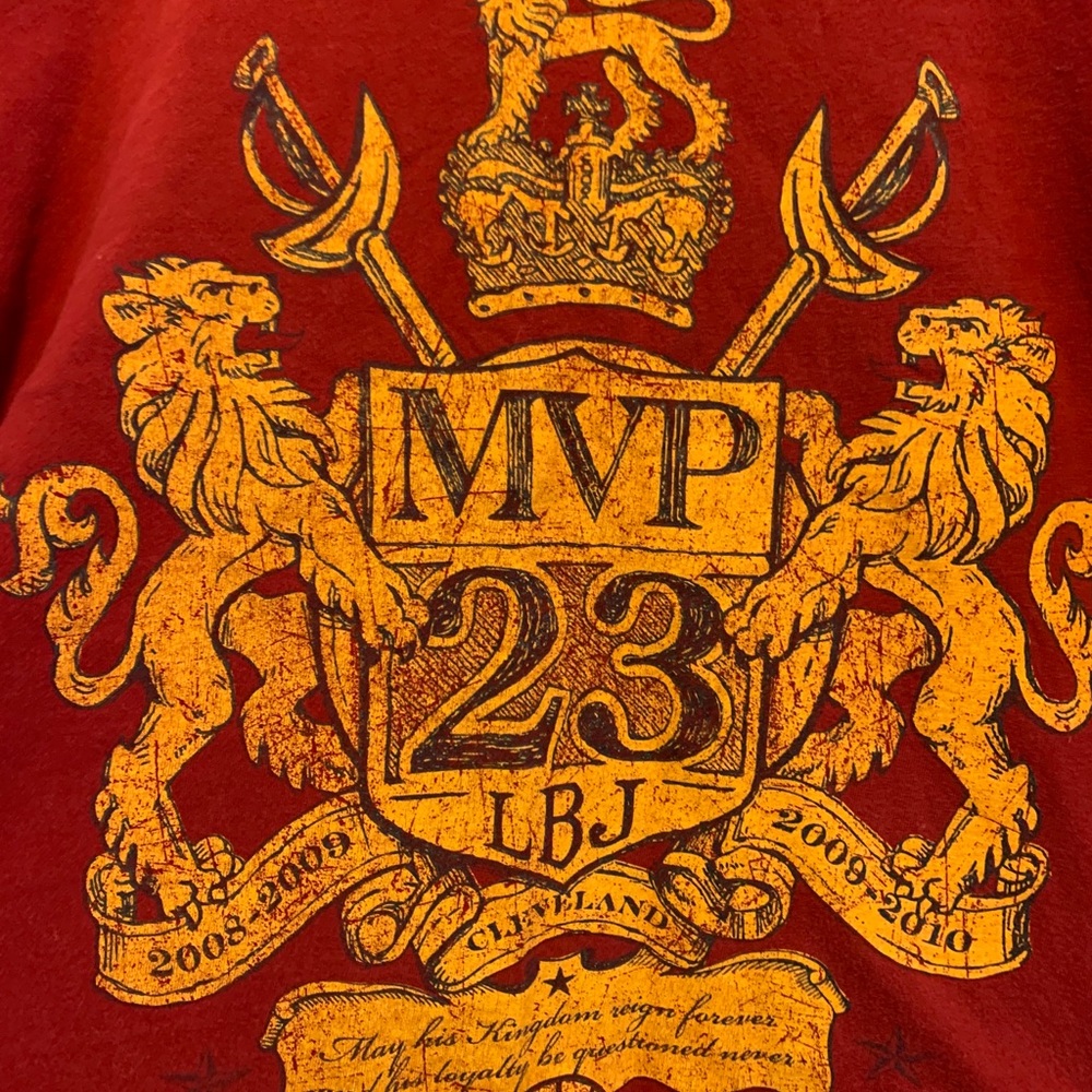 Lebron James T shirt